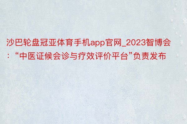 沙巴轮盘冠亚体育手机app官网_2023智博会：“中医证候会诊与疗效评价平台”负责发布